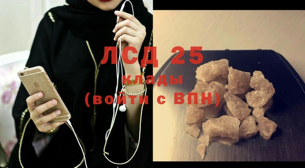 стаф Кулебаки
