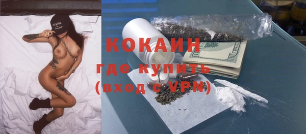 стаф Кулебаки