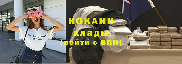 стаф Кулебаки