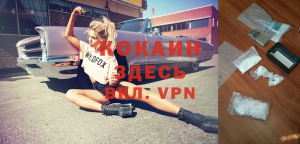 стаф Кулебаки