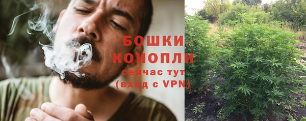 стаф Кулебаки